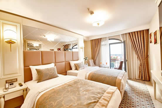 Deluxe Double or Twin Room